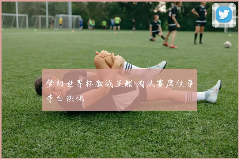 梦幻世界杯激战正酣 淘汰赛席位争夺白热化